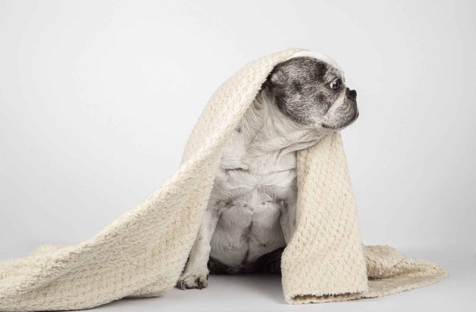 Help, mijn hond wordt kaal - Anna Deen